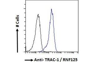 ABIN185241 Flow cytometric analysis of paraformaldehyde fixed HeLa cells (blue line), permeabilized with 0. (RNF125 antibody  (C-Term))