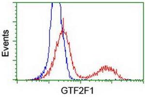 HEK293T cells transfected with either RC201294 overexpress plasmid (Red) or empty vector control plasmid (Blue) were immunostained by anti-GTF2F1 antibody (ABIN2454915), and then analyzed by flow cytometry.