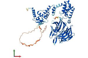 AlphaFold protein structure predicition of Mouse Recombinant Klhl14 Protein, UniprotID Q69ZK5 (KLHL14 Protein (AA 1-630) (His tag))