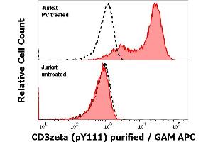 Anti-Hu CD3 zeta (pY111) purified antibody (clone EM-55) works in Flow Cytometry application Analysis of the antibody staining was performed on Jurkat cells treated or untreated with pervanadate (PV) prior to the fixation and permeabilization of cell suspension with cold methanol. (CD247 antibody  (pTyr111, pTyr123))