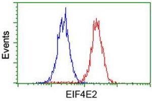 Flow cytometric Analysis of Hela cells, using anti-EIF4E2 antibody (ABIN2454230), (Red), compared to a nonspecific negative control antibody, (Blue). (EIF4E2 antibody)