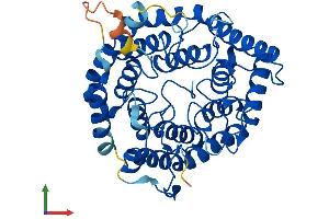 AlphaFold protein structure predicition of Human Recombinant LANCL3 Protein, UniprotID Q6ZV70 (LANCL3 Protein (AA 1-420) (His tag))