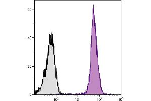 BALB/c mouse splenocytes were stained with Rat Anti-Mouse CD45-UNLB. (Goat anti-Rat Ig (Heavy & Light Chain) Antibody (TRITC))