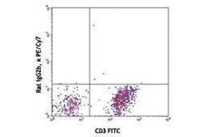 Flow Cytometry (FACS) image for anti-Chemokine (C-X3-C Motif) Receptor 1 (CX3CR1) antibody (PE-Cy7) (ABIN2659341) (CX3CR1 antibody  (PE-Cy7))