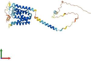 AlphaFold protein structure predicition of Human Recombinant TMEM198 Protein, UniprotID Q66K66 (TMEM198 Protein (AA 1-360) (His tag))