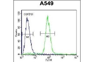 SOX3 Antibody (Center ) (ABIN656009 and ABIN2845385) flow cytometric analysis of A549 cells (right histogram) compared to a negative control cell (left histogram). (SOX3 antibody  (AA 189-218))