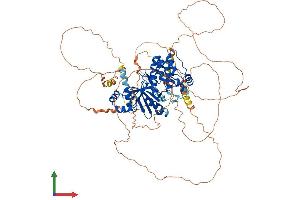AlphaFold protein structure predicition of Human Recombinant SIK1 Protein, UniprotID P57059 (SIK1 Protein (AA 1-783) (His tag))