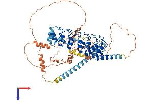 AlphaFold protein structure predicition of Human Recombinant POTEC Protein, UniprotID B2RU33 (POTEC Protein (AA 1-542) (His tag))
