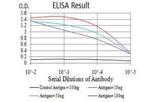 Black line: Control Antigen (100 ng),Purple line: Antigen (10 ng), Blue line: Antigen (50 ng), Red line:Antigen (100 ng) (AEBP2 antibody  (AA 358-495))