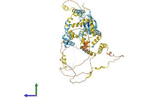 AlphaFold protein structure predicition of Human Recombinant UBQLN4 Protein, UniprotID Q9NRR5 (UBQLN4 Protein (AA 1-601) (His tag))