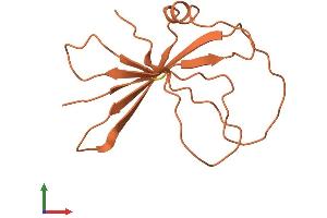 AlphaFold protein structure predicition of Human Recombinant FAM223A Protein, UniprotID Q8IWN6 (FAM223A Protein (AA 1-122) (His tag))