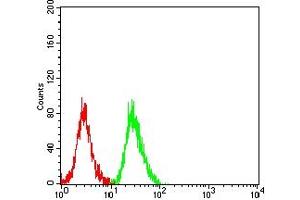 Flow cytometric analysis of SH-SY5Y cells using PRKN mouse mAb (green) and negative control (red). (Parkin antibody  (AA 1-144))