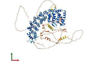 Protein Structure (PS) image for SAPS Domain Family, Member 1 (SAPS1) (AA 1-856) protein (His tag) (ABIN7564217)