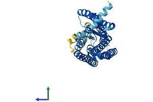 AlphaFold protein structure predicition of Human Recombinant OR5M3 Protein, UniprotID Q8NGP4 (OR5M3 Protein (AA 1-307) (His tag))