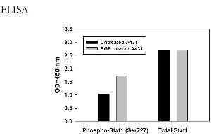 STAT1 ELISA Kit