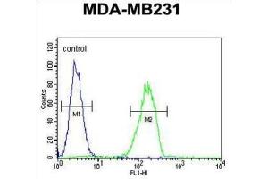 Flow Cytometry (FACS) image for anti-Cathepsin S (CTSS) antibody (ABIN3003177) (Cathepsin S antibody)