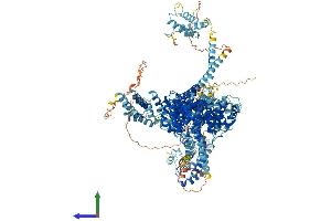 AlphaFold protein structure predicition of Human Recombinant NCAPD2 Protein, UniprotID Q15021 (NCAPD2 Protein (AA 1-1401) (His tag))