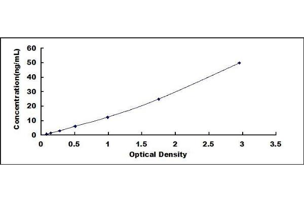 s100a4 ELISA Kit