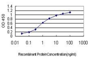 Detection limit for recombinant GST tagged C1orf164 is approximately 0. (RNF220 antibody  (AA 468-566))