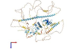 GRB10 Interacting GYF Protein 1 (GIGYF1) (AA 1-1044) protein (His tag)