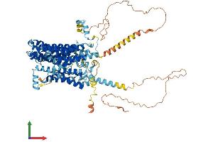 AlphaFold protein structure predicition of Human Recombinant SLC7A14 Protein, UniprotID Q8TBB6 (SLC7A14 Protein (AA 1-771) (His tag))