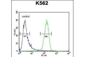 IQCJ Antibody (C-term) (ABIN654864 and ABIN2844523) flow cytometric analysis of K562 cells (right histogram) compared to a negative control cell (left histogram). (IQCJ antibody  (C-Term))