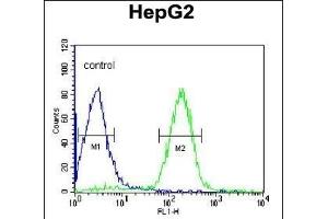 ORM1 Antibody (C-term) (ABIN390444 and ABIN2840823) flow cytometric analysis of HepG2 cells (right histogram) compared to a negative control cell (left histogram). (ORM1 antibody  (C-Term))