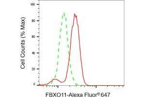 Flow cytometric analysis of FBXO11 expression in HeLa cells using FBXO11 antibody ( (ABIN7798553), 1:2,000).