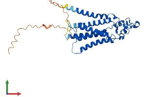 AlphaFold protein structure predicition of Human Recombinant PLPP3 Protein, UniprotID O14495 (PPAP2B Protein (AA 1-311) (His tag))