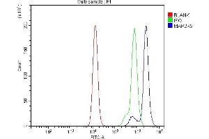 Flow Cytometry analysis of Raji cells using anti-ASK1/MAP3K5 antibody (ABIN7600304).