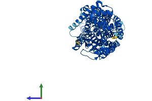 AlphaFold protein structure predicition of Mouse Recombinant Slc6a20a Protein, UniprotID Q8VDB9 (Slc6a20a Protein (AA 1-592) (His tag))