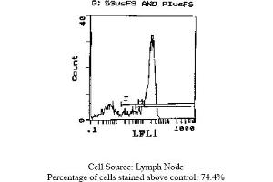 Rat anti CD62L (L-Selectin, LECAM-1) MEL-14 (L-Selectin antibody  (FITC))