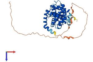 Cyclin O Protein (CCNO) (AA 1-350) (His tag)