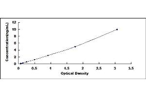 Typical standard curve (KDM6A ELISA Kit)