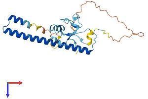 Protein Structure (PS) image for THAP Domain Containing 6 (THAP6) (AA 1-222) protein (His tag) (ABIN7544282)