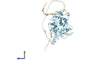 AlphaFold protein structure predicition of Human Recombinant ZNF689 Protein, UniprotID Q96CS4