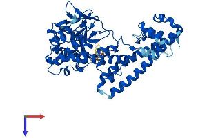 AlphaFold protein structure predicition of Mouse Recombinant Setd4 Protein, UniprotID P58467 (SETD4 Protein (AA 1-439) (His tag))