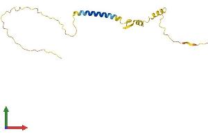 Protein Structure (PS) image for Neuron-Specific Protein Family Member 2 (HMP19) (AA 1-171) protein (His tag) (ABIN7549874)
