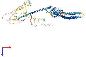 TFIP11 Protein (AA 1-837) (His tag)