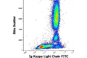 Flow cytometry surface staining pattern of human peripheral whole blood stained using anti-human Ig kappa light chain (A8B5) FITC antibody (20 μL reagent / 100 μL of peripheral whole blood). (kappa Light Chain antibody  (FITC))