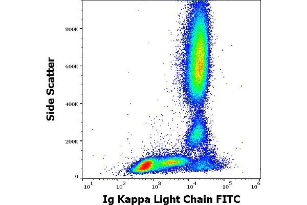 kappa Light Chain 抗体  (FITC)