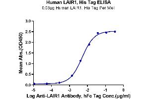 Immobilized Human LAIR1, His Tag at 0. (LAIR1 Protein (AA 22-163) (His-Avi Tag))