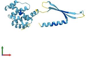 AlphaFold protein structure predicition of Mouse Recombinant Commd4 Protein, UniprotID Q9CQ02 (COMMD4 Protein (AA 1-199) (His tag))