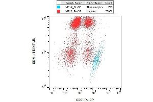 Surface staining of human peripheral blood with anti-human CD61 (VIPL2) PerCP. (Integrin beta 3 antibody  (PerCP))