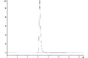 The purity of Human CD163 is greater than 95 % as determined by SEC-HPLC. (CD163 Protein (CD163) (AA 42-1045) (His-Avi Tag))