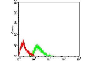 Flow cytometric analysis of Raji cells using CD45 mouse mAb (green) and negative control (red). (CD45 antibody  (AA 431-577))