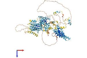 AlphaFold protein structure predicition of Mouse Recombinant Mtbp Protein, UniprotID Q8BJS8 (MTBP Protein (AA 1-894) (His tag))