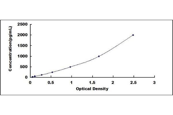 RYBP ELISA Kit