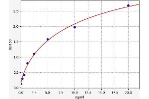 SLC25A20 ELISA Kit