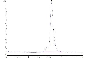 The purity of Human LYPD3 is greater than 95 % as determined by SEC-HPLC. (LYPD3 Protein (AA 31-286) (His tag))